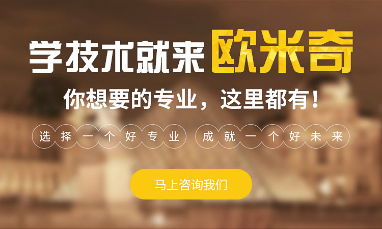 专业设置